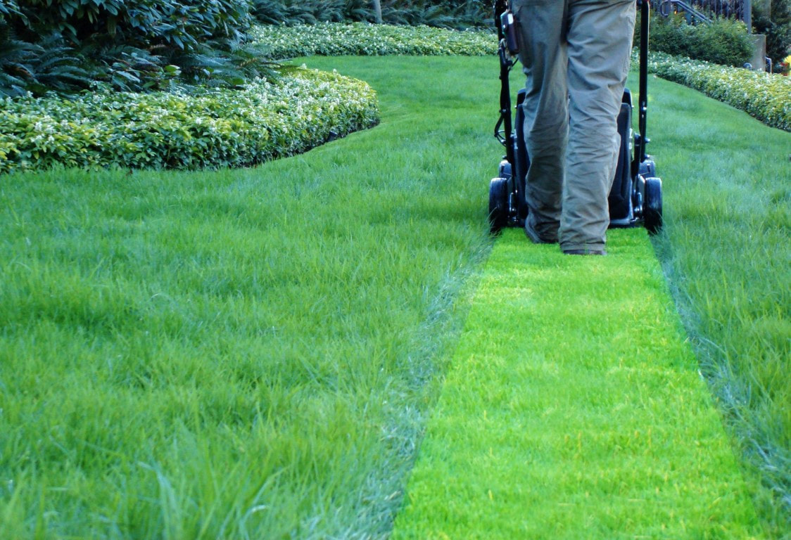 An image of Lawn Care in Newport Beach CA